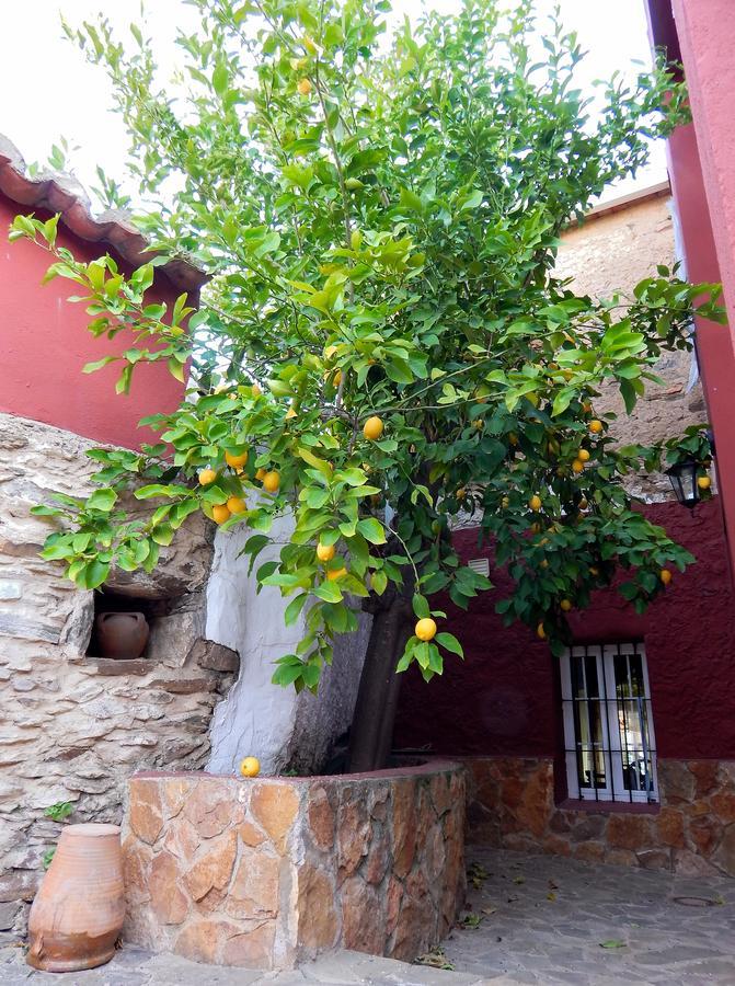 Casa Rural La Perra Gorda Zorita  Zewnętrze zdjęcie